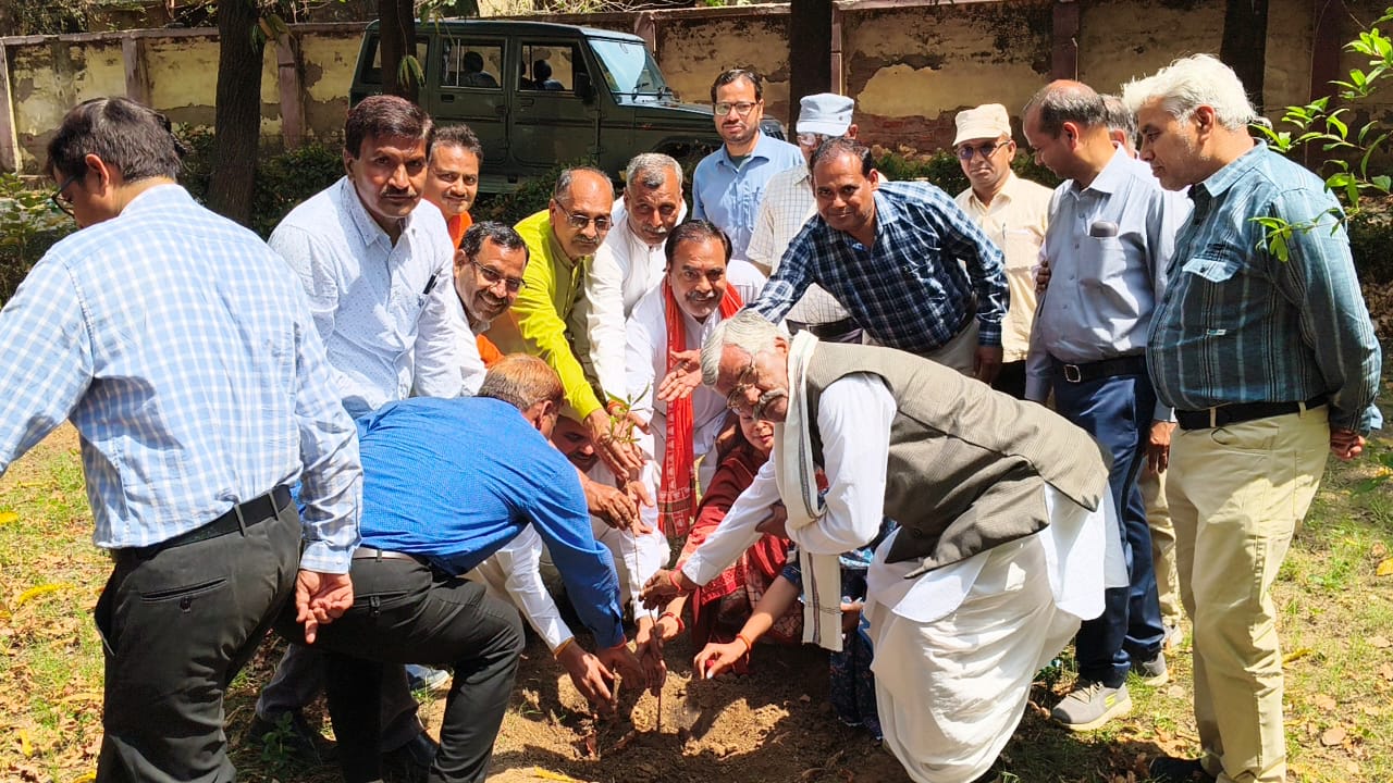 Sujariti Programmes